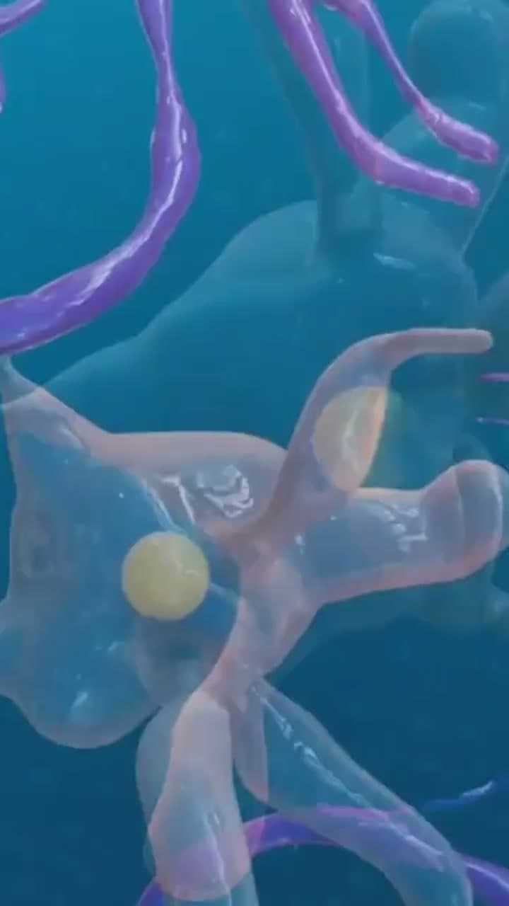 Biotech
